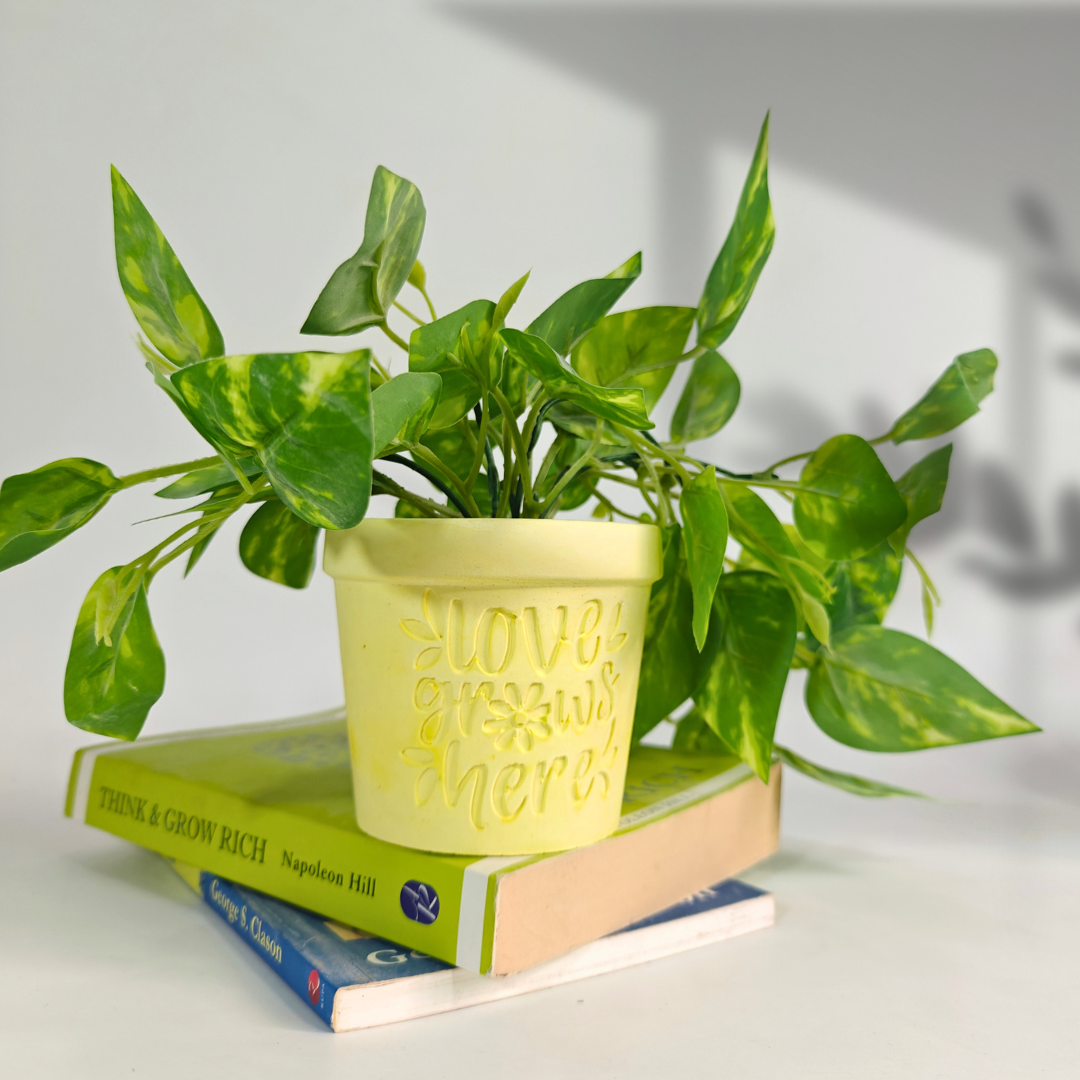 Love Grows Here Planter Mold