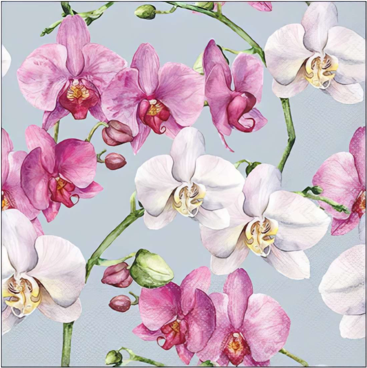 Purple White Orchid Decoupage