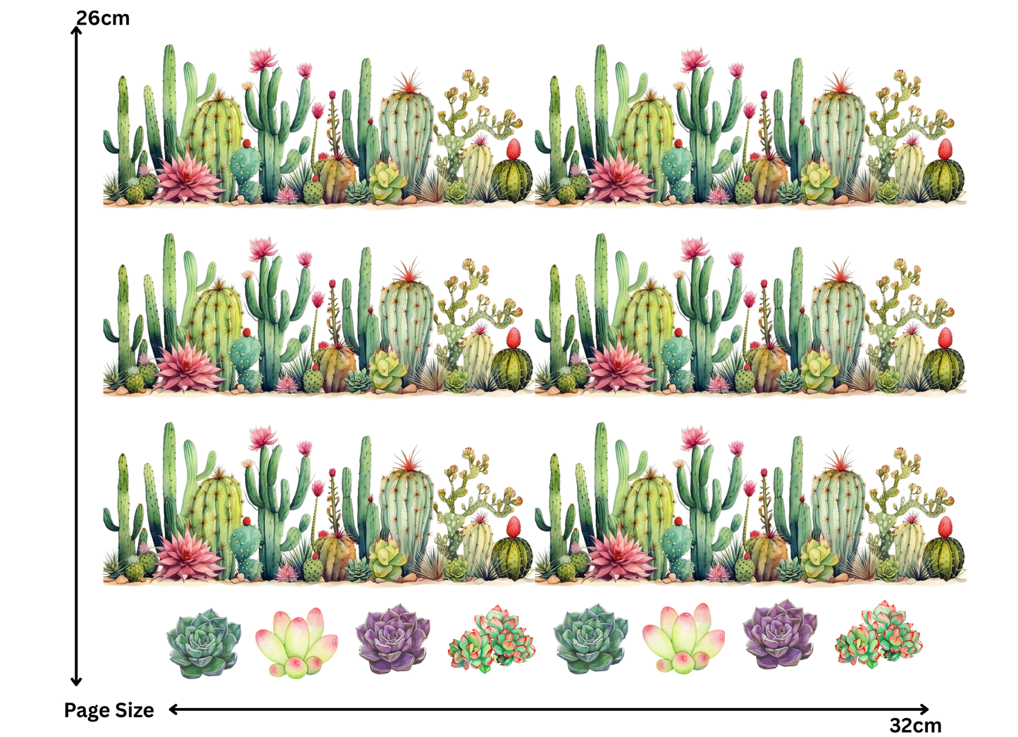 Cactus Bloom Flower (1 Sheet: Water Transfer Sticker)
