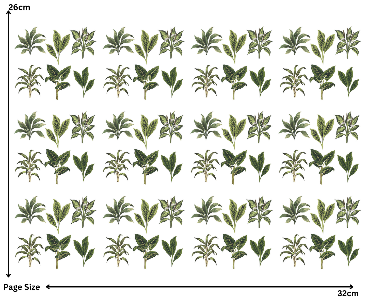 Fresh Leaves (1 Sheet: Water Transfer Sticker)