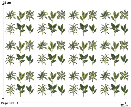Fresh Leaves (1 Sheet: Water Transfer Sticker)