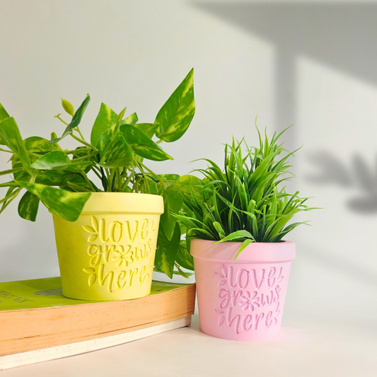 Love Grows Here Planter Mold