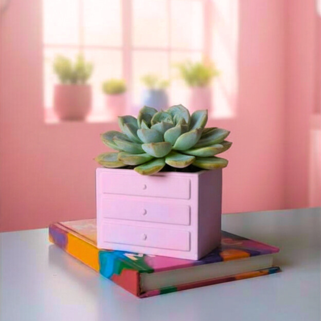 Cabinet Jar Mold (Big)