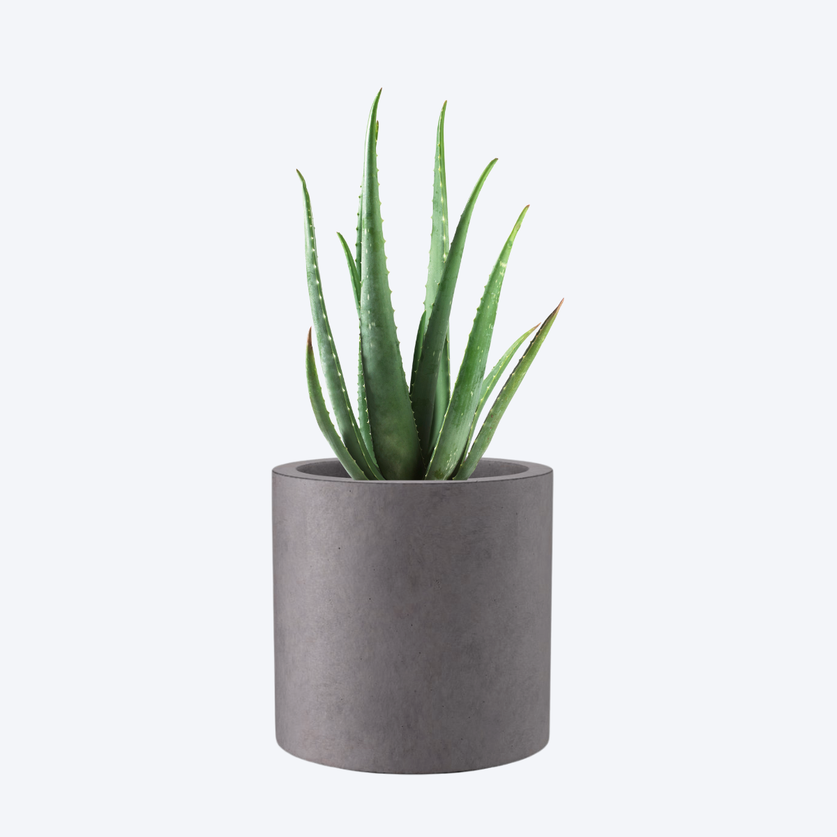 Canister Planter Mould for jesmonite, concrete, cement for diy handmade crafts and art