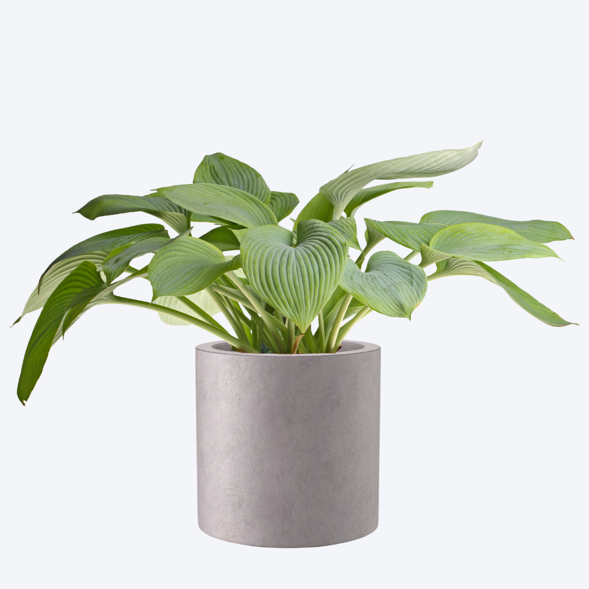 Canister Planter Mould for jesmonite, concrete, cement for diy handmade crafts and art