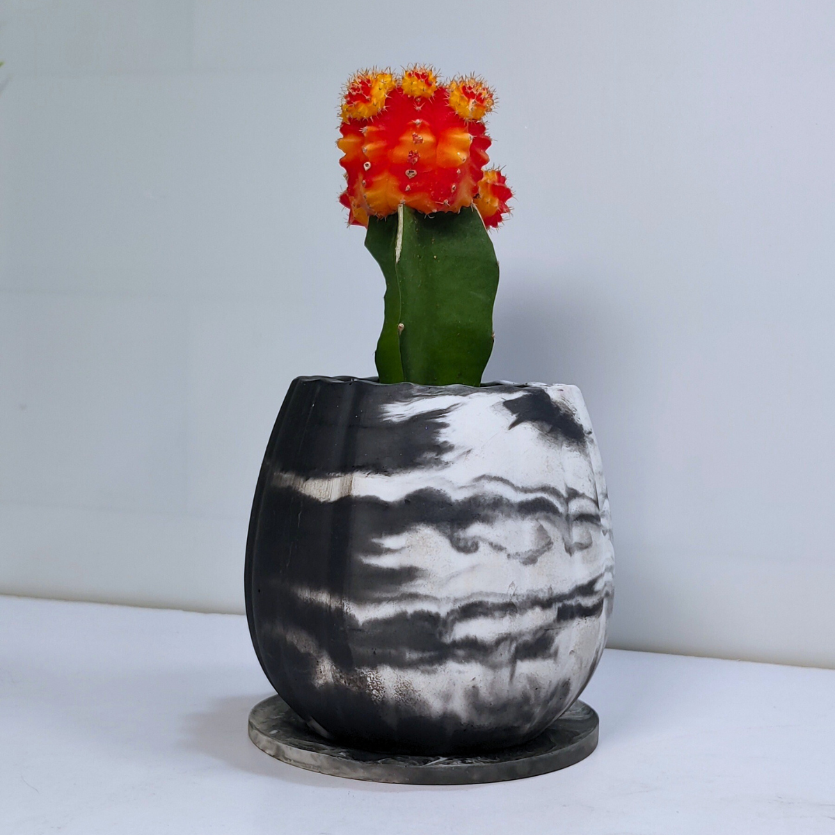 Concrete planter