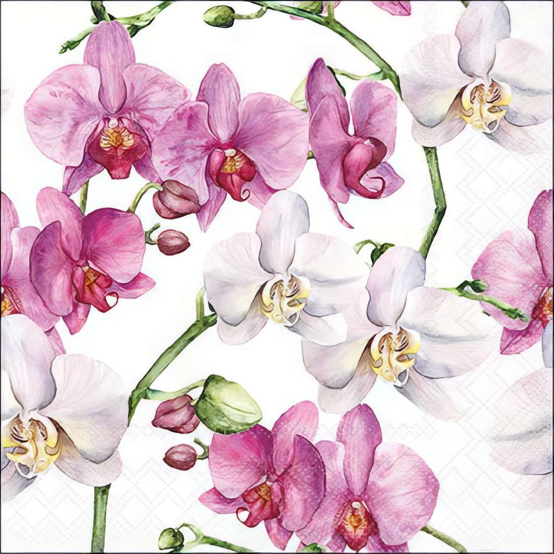 Purple White Orchid Decoupage Tissue