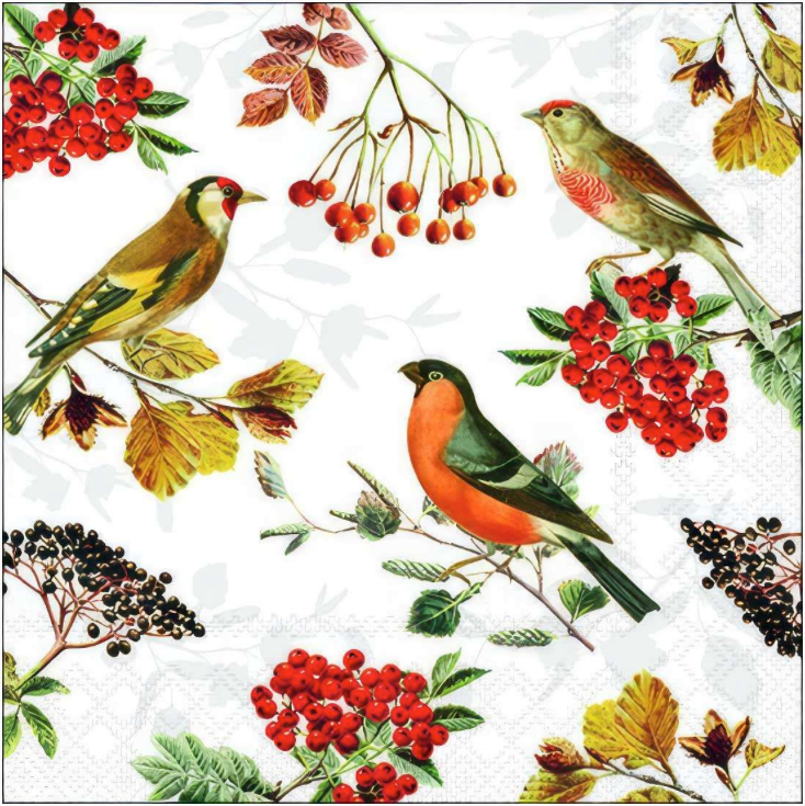 Red Cherrie Birds Decoupage 