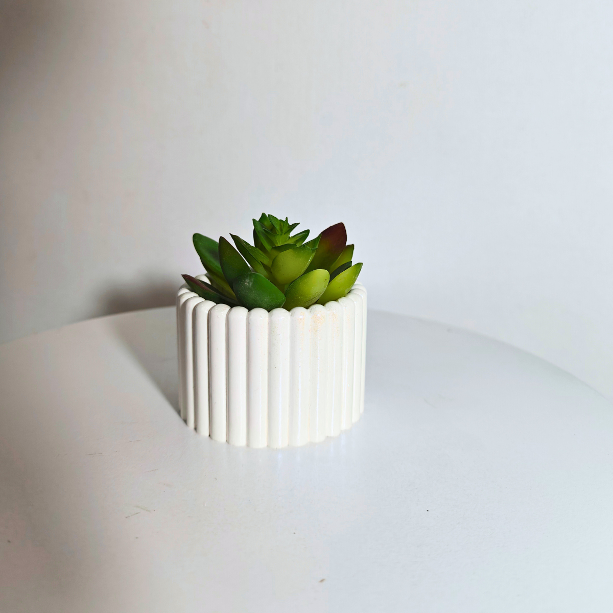 The Elaan Succulent Holder Mold for candle and planters