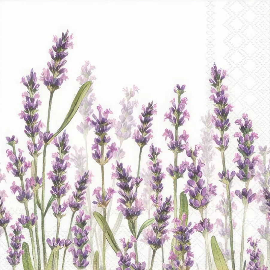 Lavender Field Decoupage (1 Tissue)