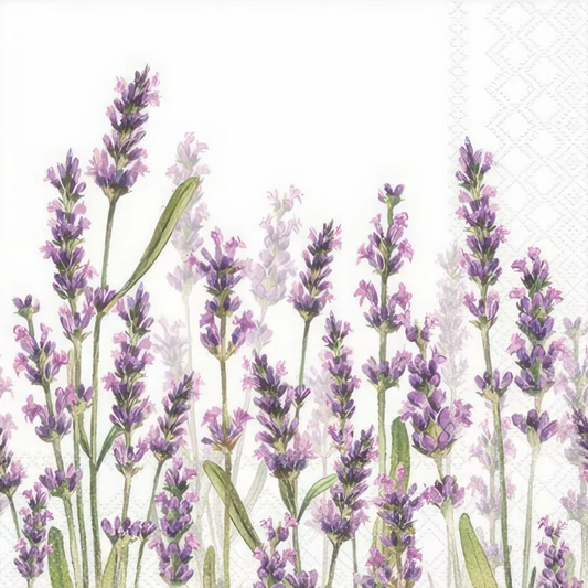 Lavender Field Decoupage (1 Tissue)